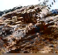 Rock Climbing in Morialta - Accommodation Daintree