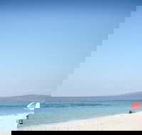 Rosebud and McCrae Bay Trail - Accommodation Daintree