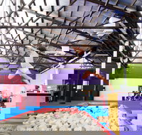 Springloaded Trampoline - Accommodation Daintree