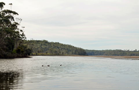 Tabourie Lake - Accommodation Daintree 0