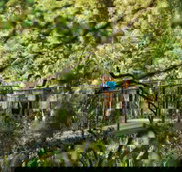 Tamborine Mountain - Accommodation Daintree