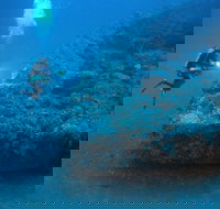 The Zanoni Wreck - Accommodation Daintree