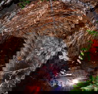 Undara Experience - Accommodation Daintree