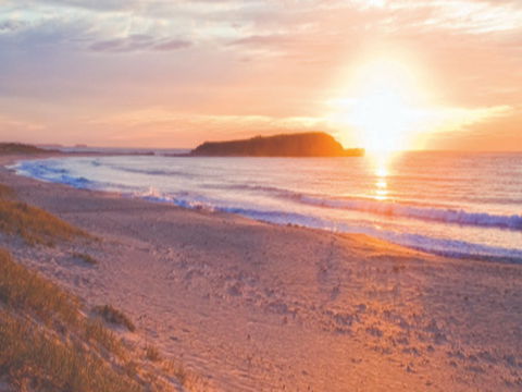 Warilla Beach: Shellharbour - Accommodation Daintree 0