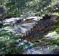 Washpools waterhole - Accommodation Daintree