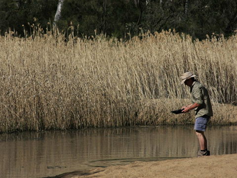 Wooldridge Recreation And Fossicking Reserve - Accommodation Daintree 2