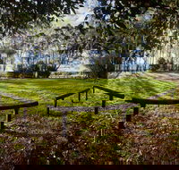 Aboriginal Bora Ring - Accommodation Daintree