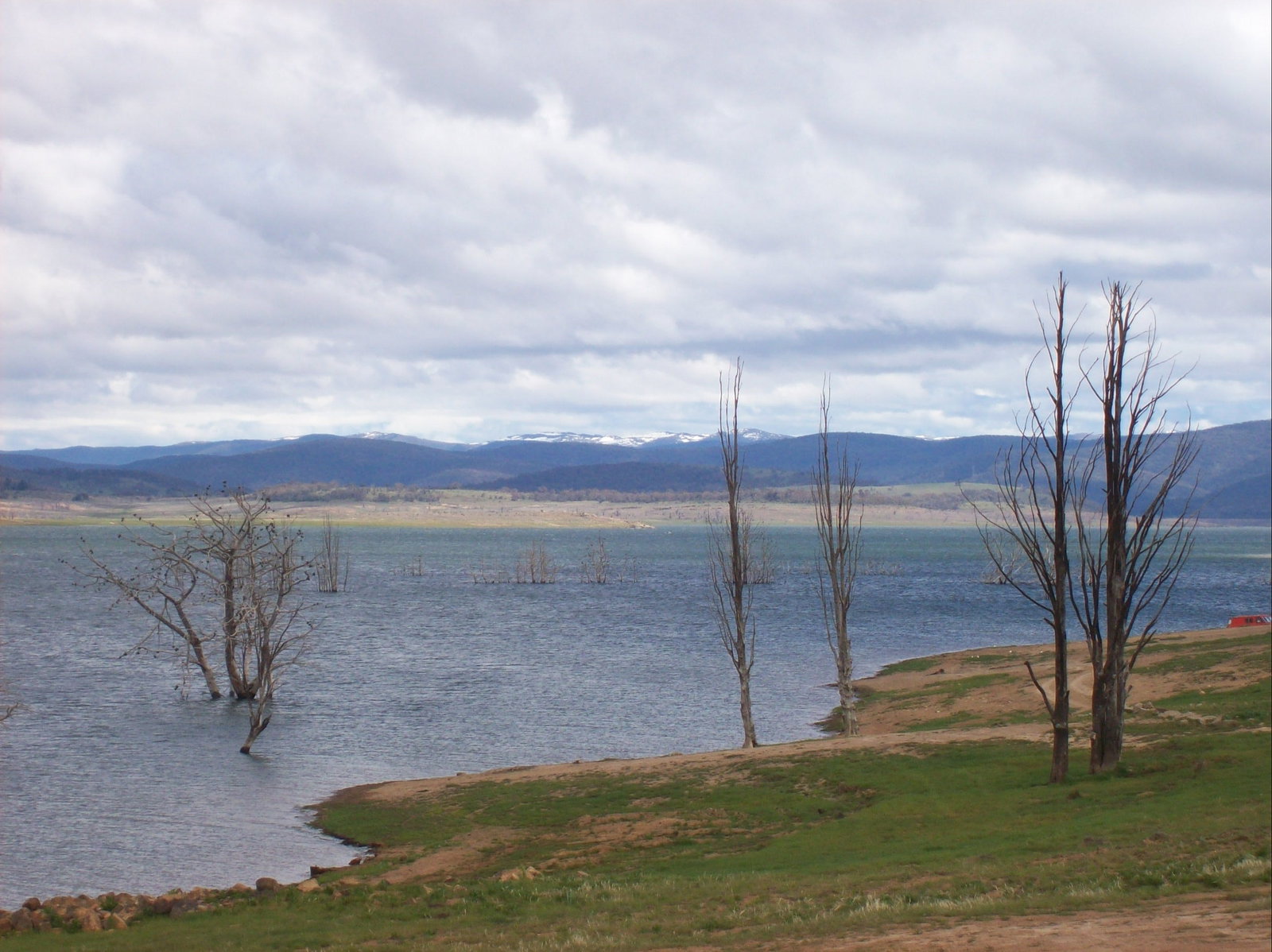 Anglers Reach NSW Accommodation Daintree