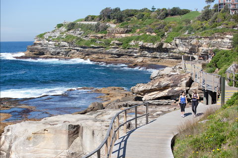 Bondi To Coogee Coastal Walk - Accommodation Daintree 1