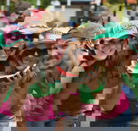 Chinchilla - Accommodation Daintree