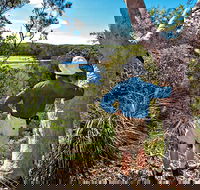 Corkwood and Scribbly Gum Walking Track - Accommodation Daintree