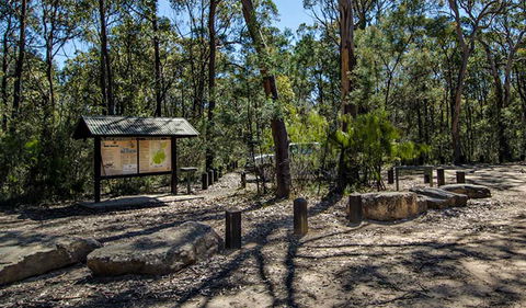 Couridjah Corridor Walk - Accommodation Daintree 0