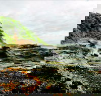 Glenrock State Conservation Area - Accommodation Daintree