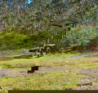 Gloucester Tops picnic area - Accommodation Daintree