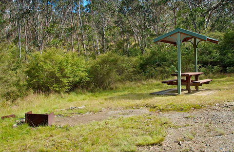 Gloucester Tops Picnic Area - Accommodation Daintree 0