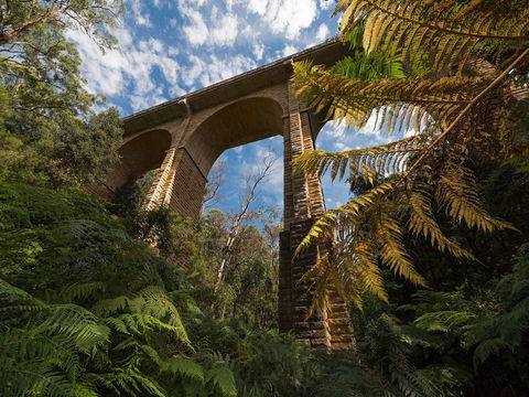 Lapstone - Accommodation Daintree 0