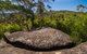 Marramarra Ridge To Smugglers Ridge Walking Track - thumb 0