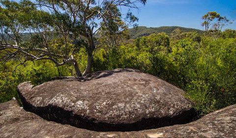 Marramarra Ridge To Smugglers Ridge Walking Track - Accommodation Daintree 0