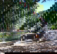 Mosaic Time Walk - Accommodation Daintree