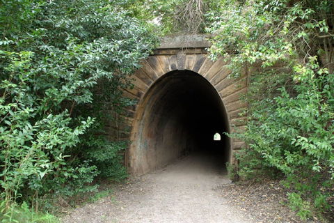 Mushroom Tunnel - Accommodation Daintree 0