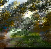 North Western Fishing Trail - Accommodation Daintree