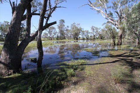 North Western Fishing Trail - Accommodation Daintree 2