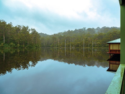 Pemberton - Accommodation Daintree 0