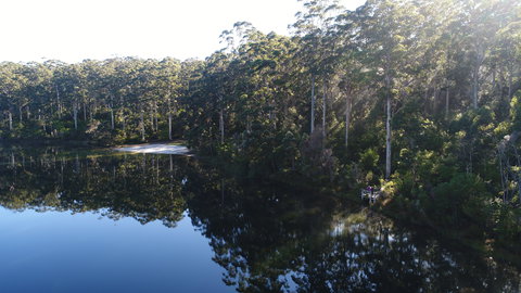 Pemberton - Accommodation Daintree 1