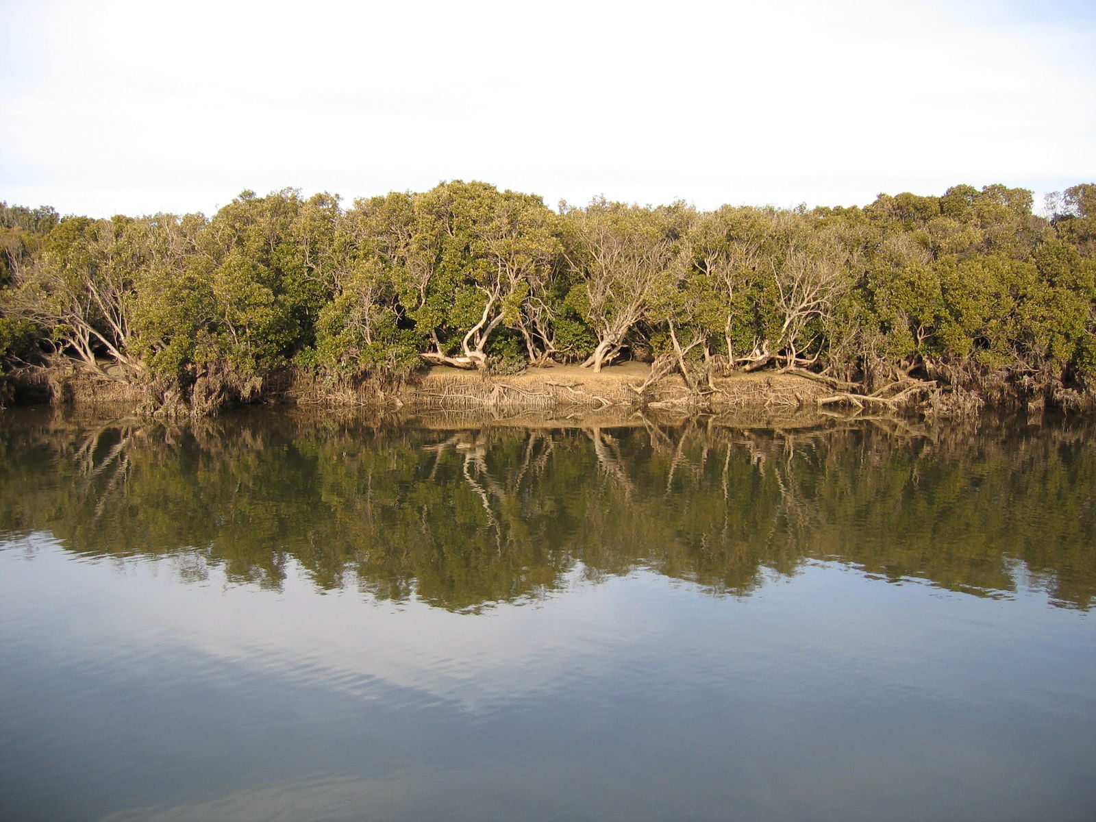 Port Clinton ACT Accommodation Daintree