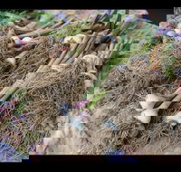 Queanbeyan Park Market - Accommodation Daintree