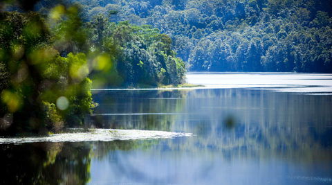 Rocky Creek Dam - Accommodation Daintree 0
