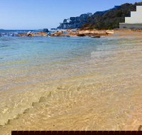 Shelly Beach Picnic Area - Moruya Heads - Accommodation Daintree