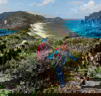 Torndirrup National Park - Accommodation Daintree