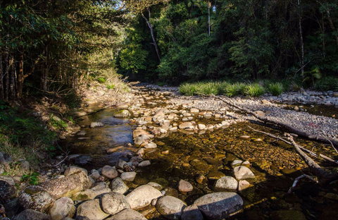 Wilson River Picnic Area - Accommodation Daintree 0