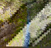 Woakwine Cutting - Accommodation Daintree