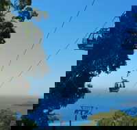 Arthurs Seat Eagle - Accommodation Daintree