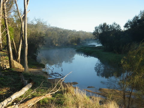 Bilya Walk Track - Accommodation Daintree 0