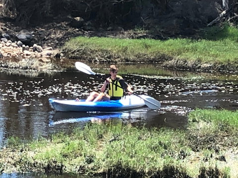 Bilya Walk Track - Accommodation Daintree 1