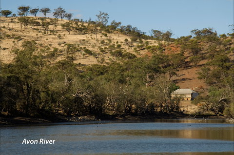 Bilya Walk Track - Accommodation Daintree 2