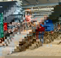 Captain's Cottage Museum - Accommodation Daintree