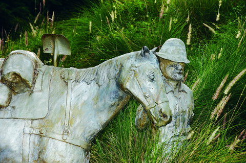 Centenary Park - Accommodation Daintree 0