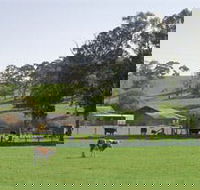 Echunga - Accommodation Daintree