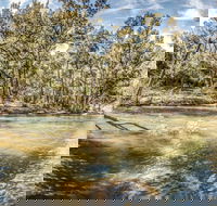 Flea Creek Picnic Area - Accommodation Daintree