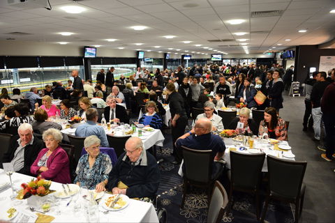 Geelong Greyhound Racing Club - The Beckley Centre - Accommodation Daintree 1