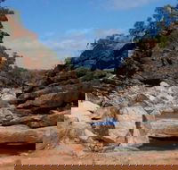 Homestead Gorge trail - Accommodation Daintree