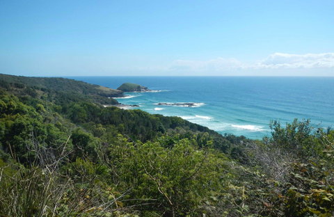 Jack Perkins Walking Track - Accommodation Daintree 0