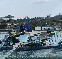 Jungle Float - Accommodation Daintree