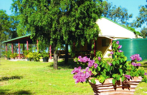 Miners Heritage Walk-In Mine - Accommodation Daintree 0