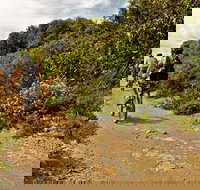 Mountain Biking Trails - Accommodation Daintree