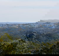 Mount Crawford Forest Reserve - Accommodation Daintree
